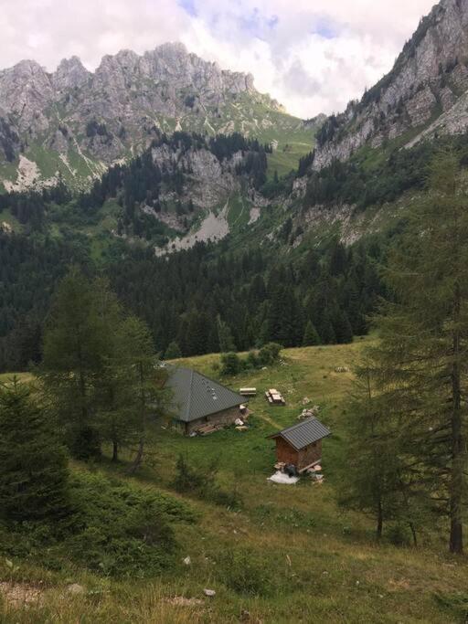 Chalet L'Ilet Ensoleille /Sunny Island Chalet Chamonix Exterior foto